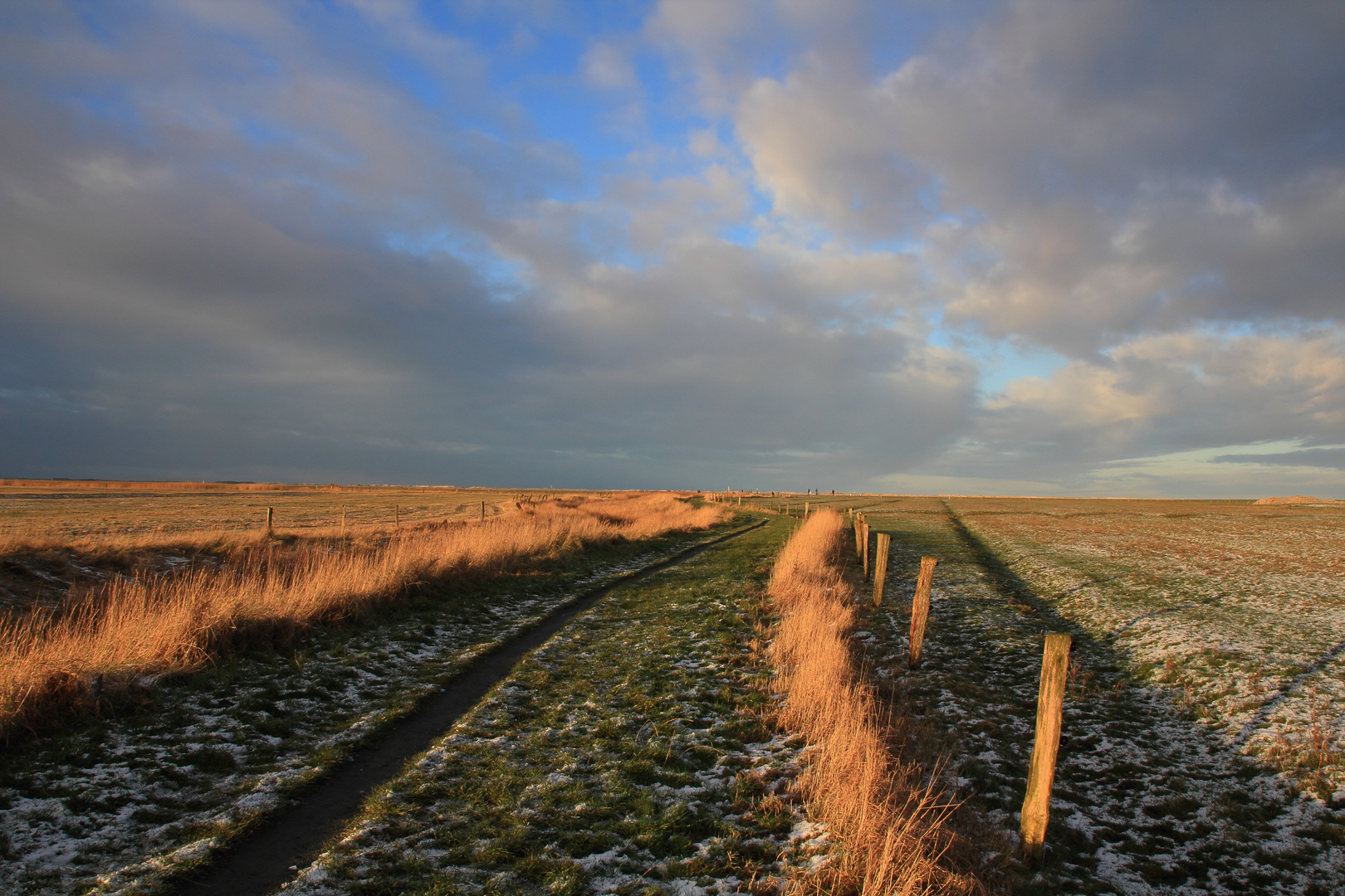 Weg nach Hilgenriedersiel