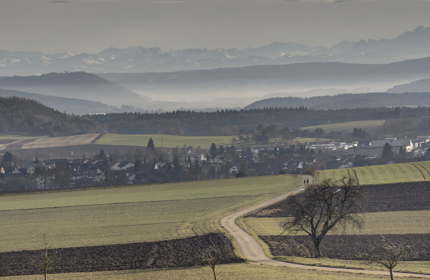 Weg nach Hilzingen