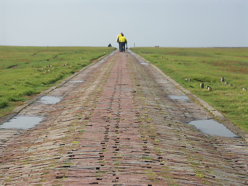 Weg nach nirgendwo