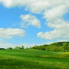 Weg nach Poppenwind (Thüringen)