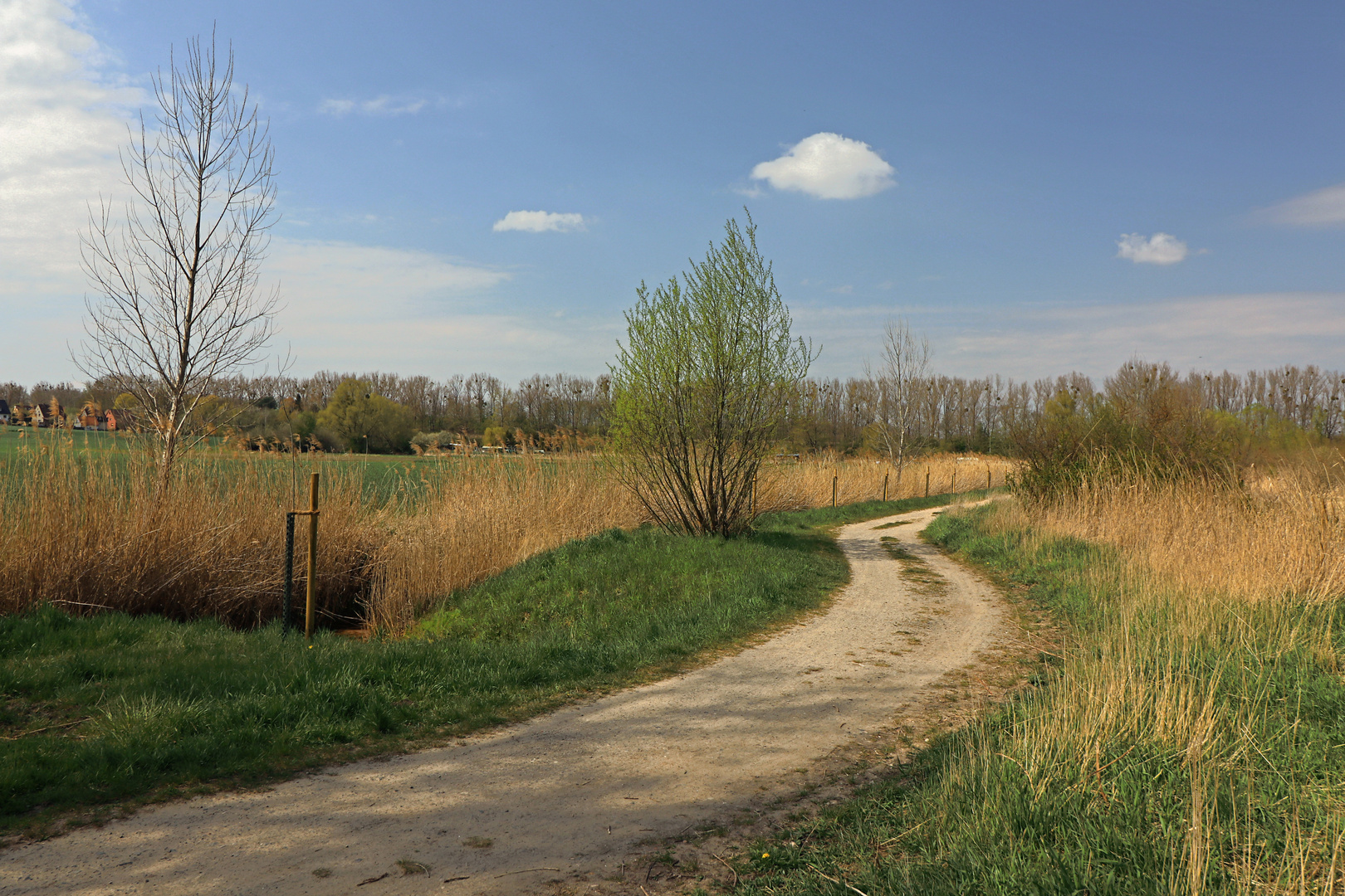 Weg nach Riddagshausen 