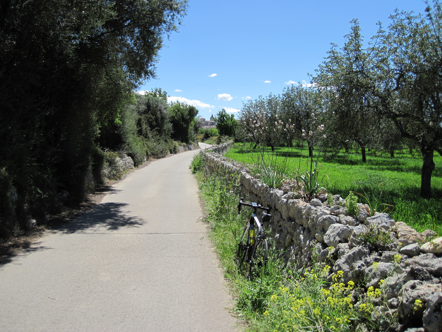 Weg nach Sineu