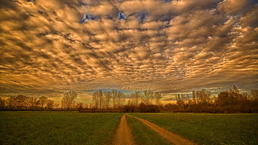 Weg nach Taubergießen