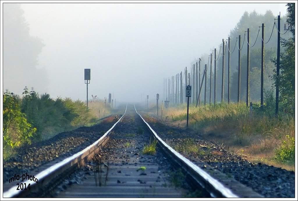 Weg nach Vienenburg