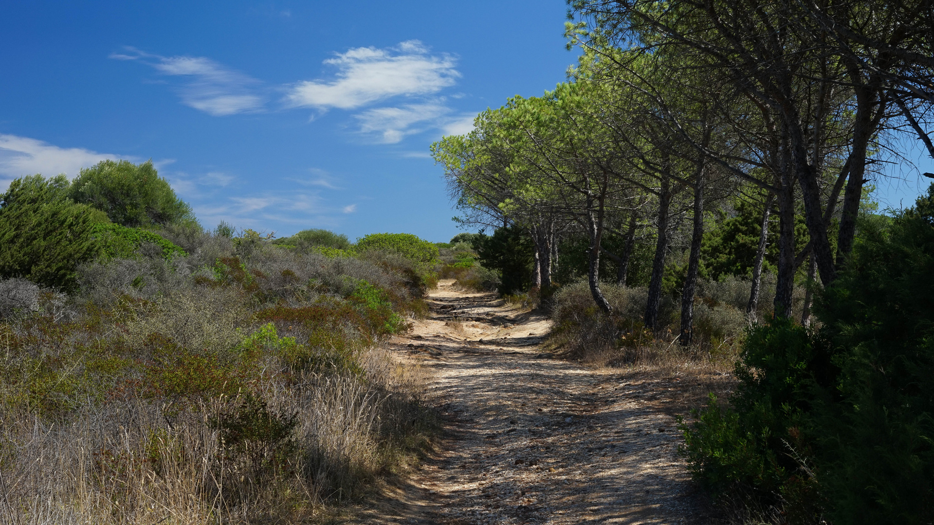 Weg nahe Strand in Orosei Sardinien