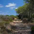 Weg nahe Strand in Orosei Sardinien