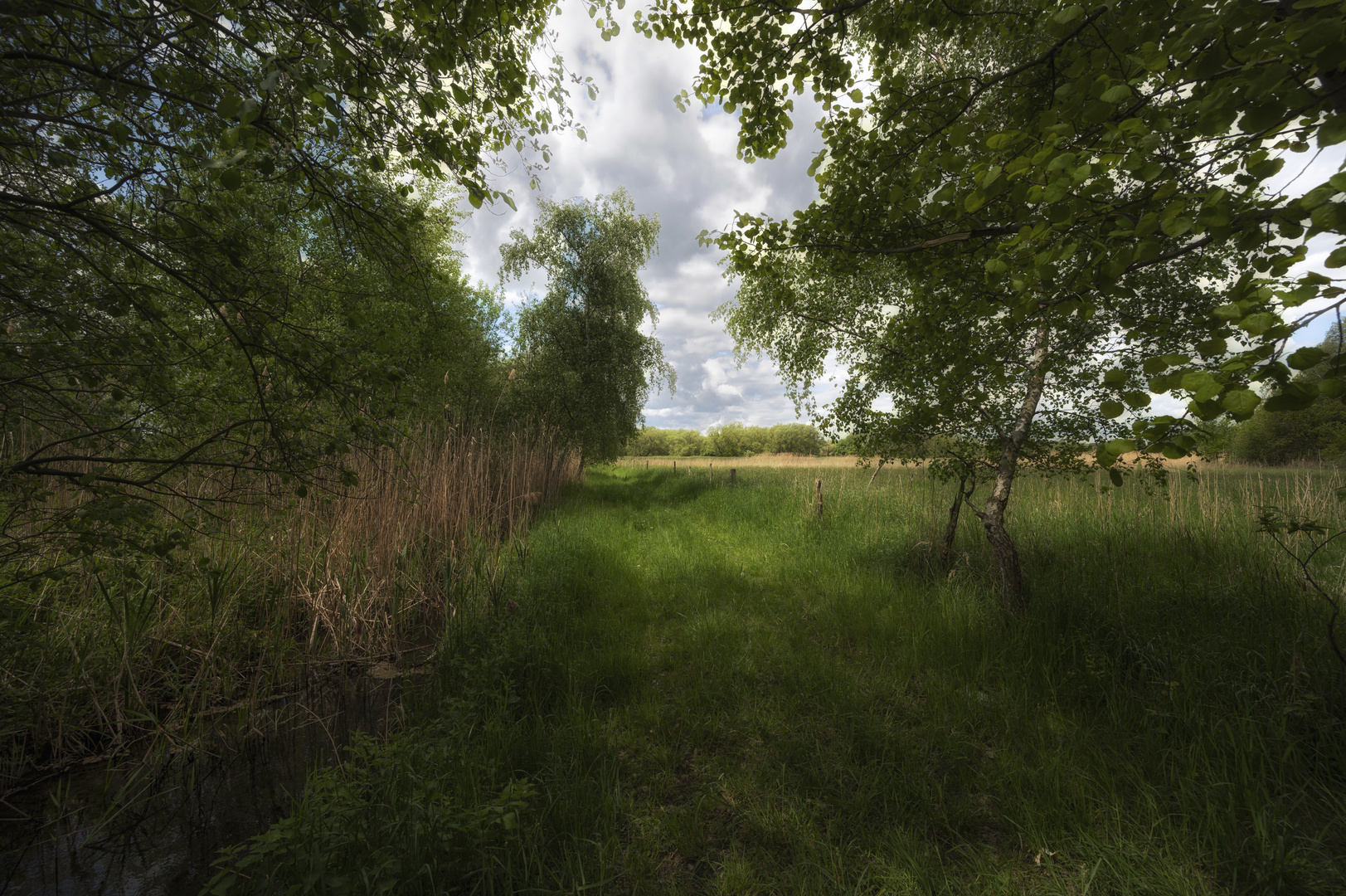 Weg neben der Kirchenwiese