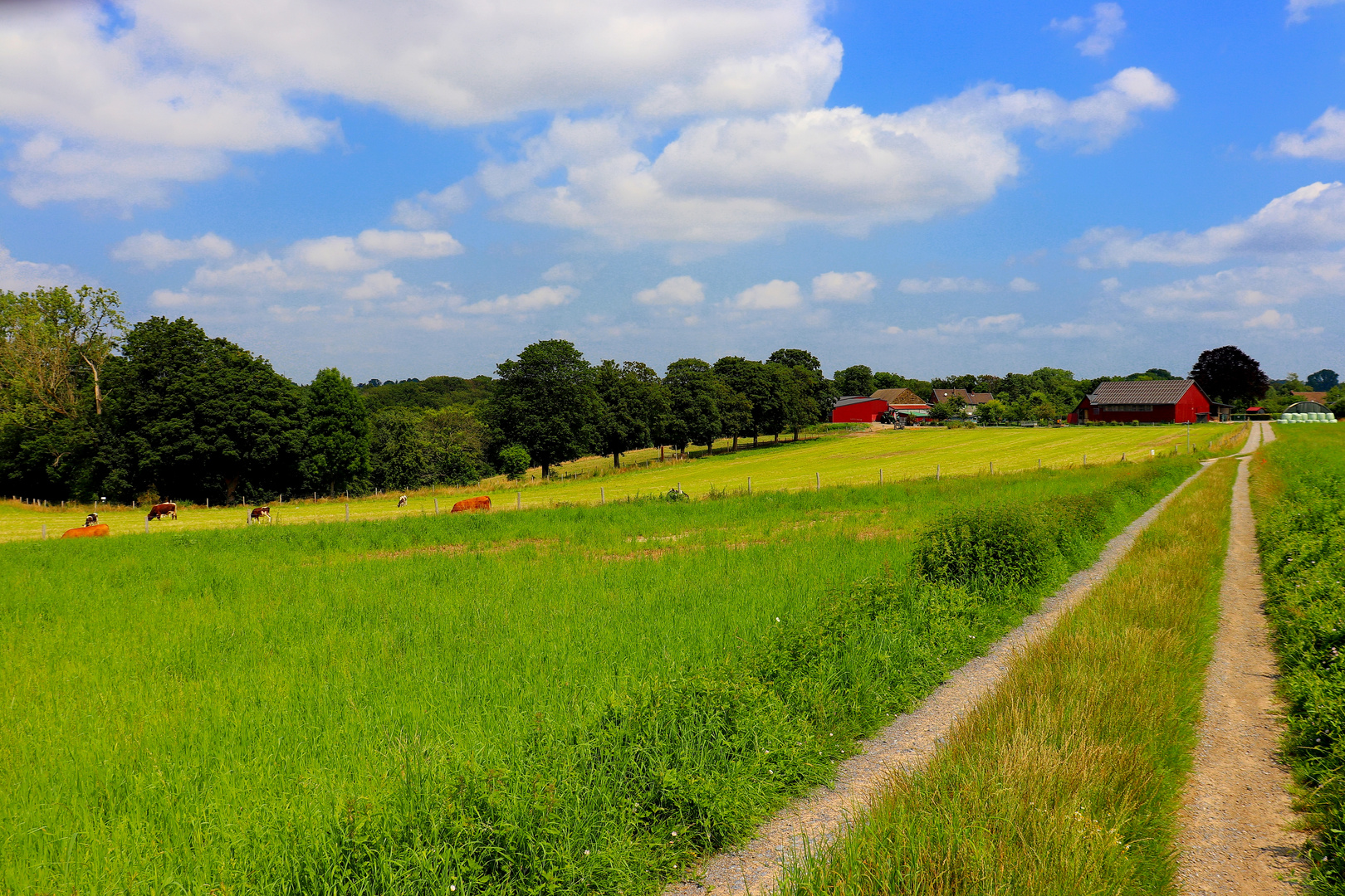 Weg Pfad, Natur und Bauernhof