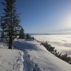 Weg über den Wolken