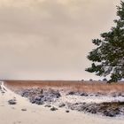 Weg über die Heide