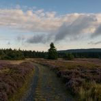 Weg über die Hochheide