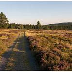 Weg über die Niedersfelder Hochheide