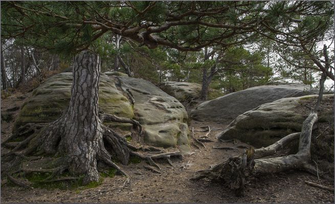 Weg übern Rauenstein