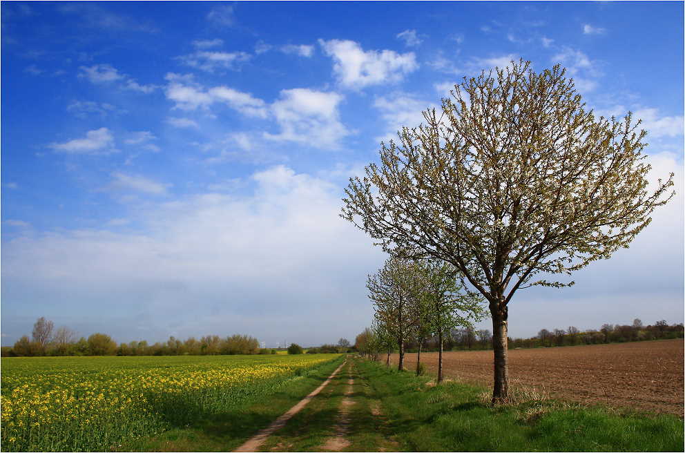 Weg über's Land