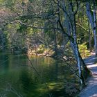 Weg um den Gleinkersee