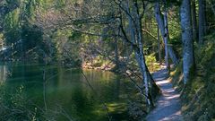 Weg um den Gleinkersee