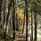 Weg um den Spitzingsee