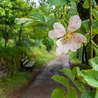 Weg und Ruhebank