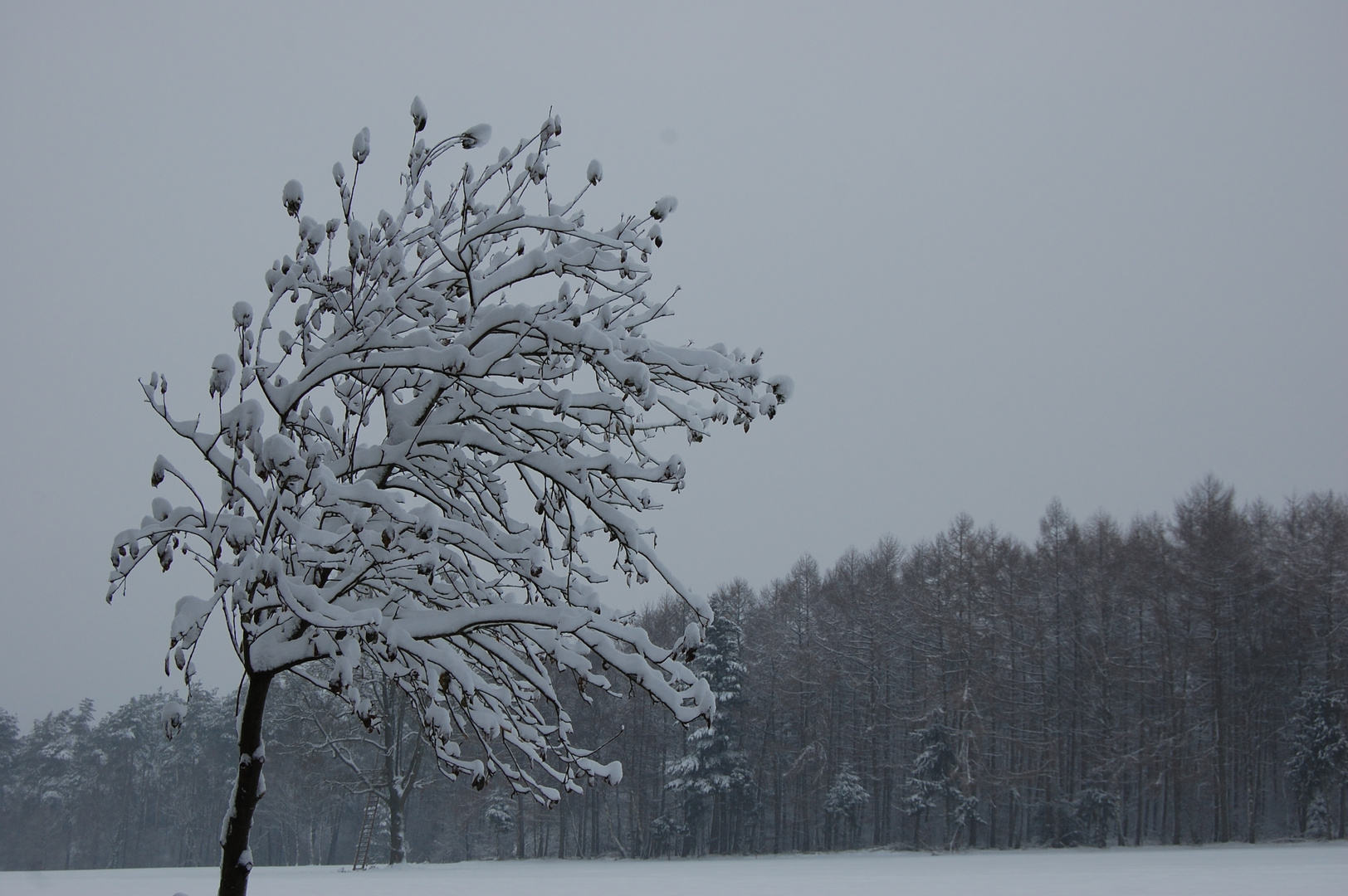 Weg und Wiese zugedeckt...