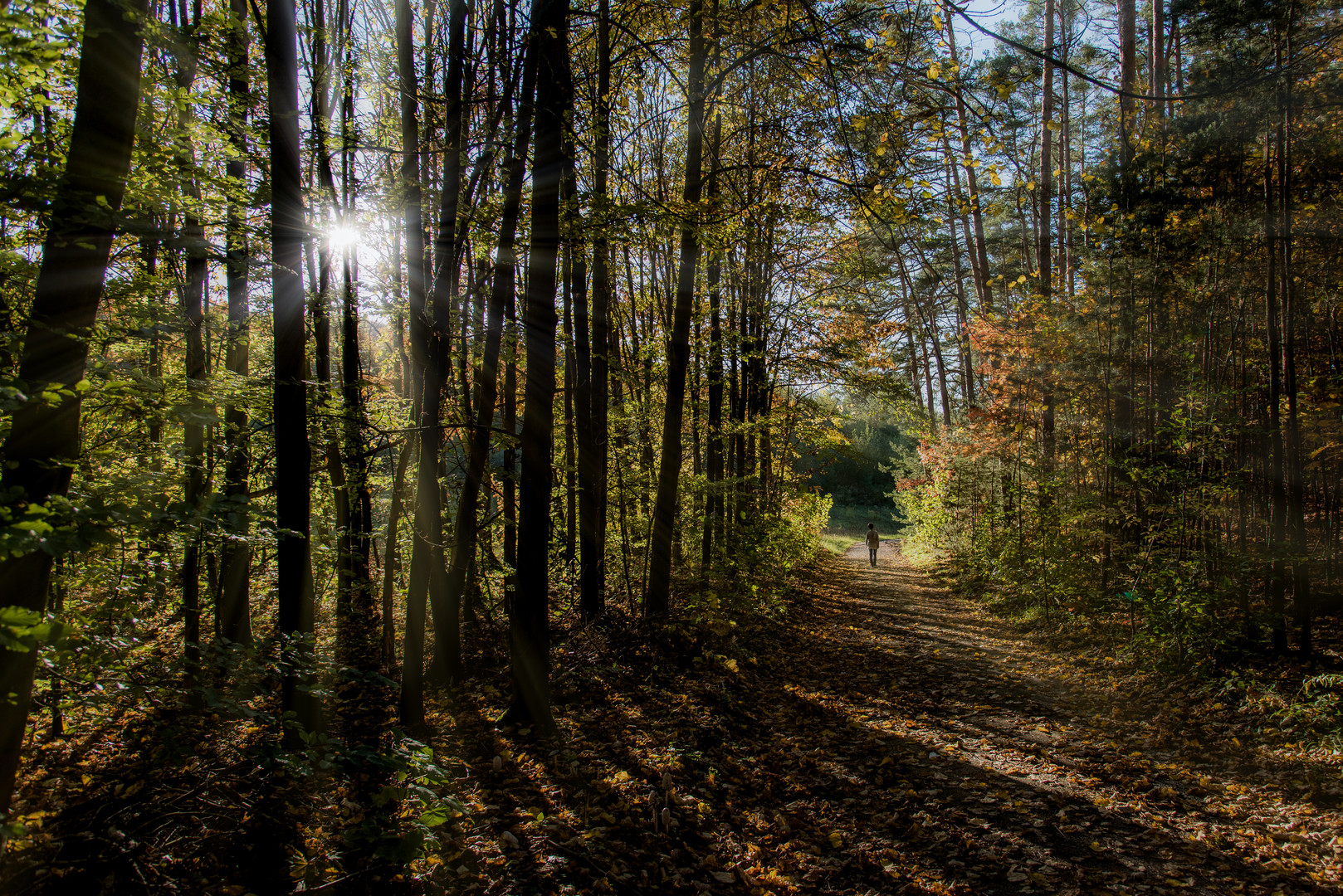 Weg und Ziel