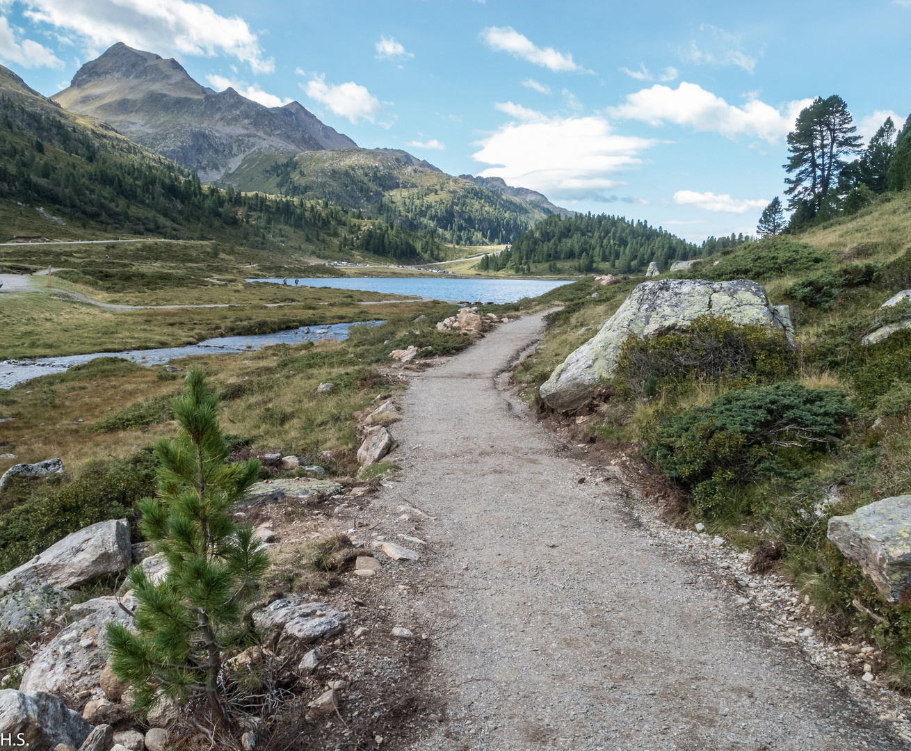 Weg v. der Staller Alm zum Obersee