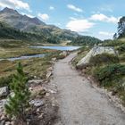 Weg v. der Staller Alm zum Obersee