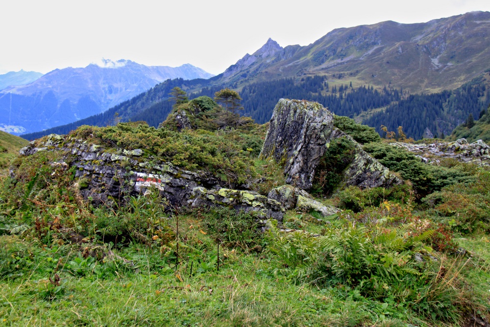 Weg vom Golm zur Lindauer Hütte (3)