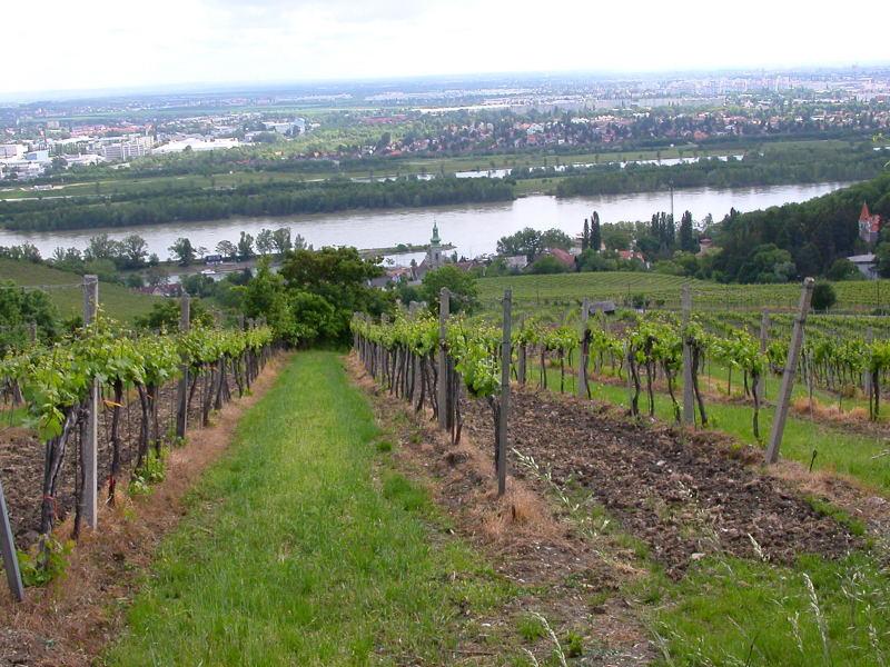 Weg vom Kahlenberg