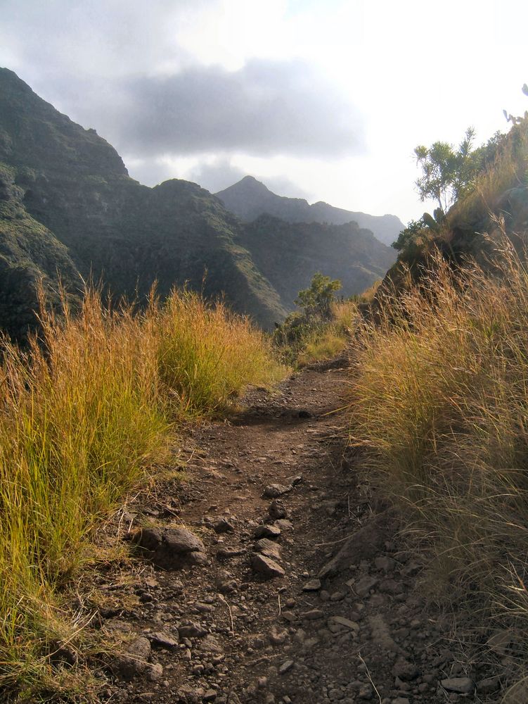 Weg von Chinamada nach Punta del Hidalgo