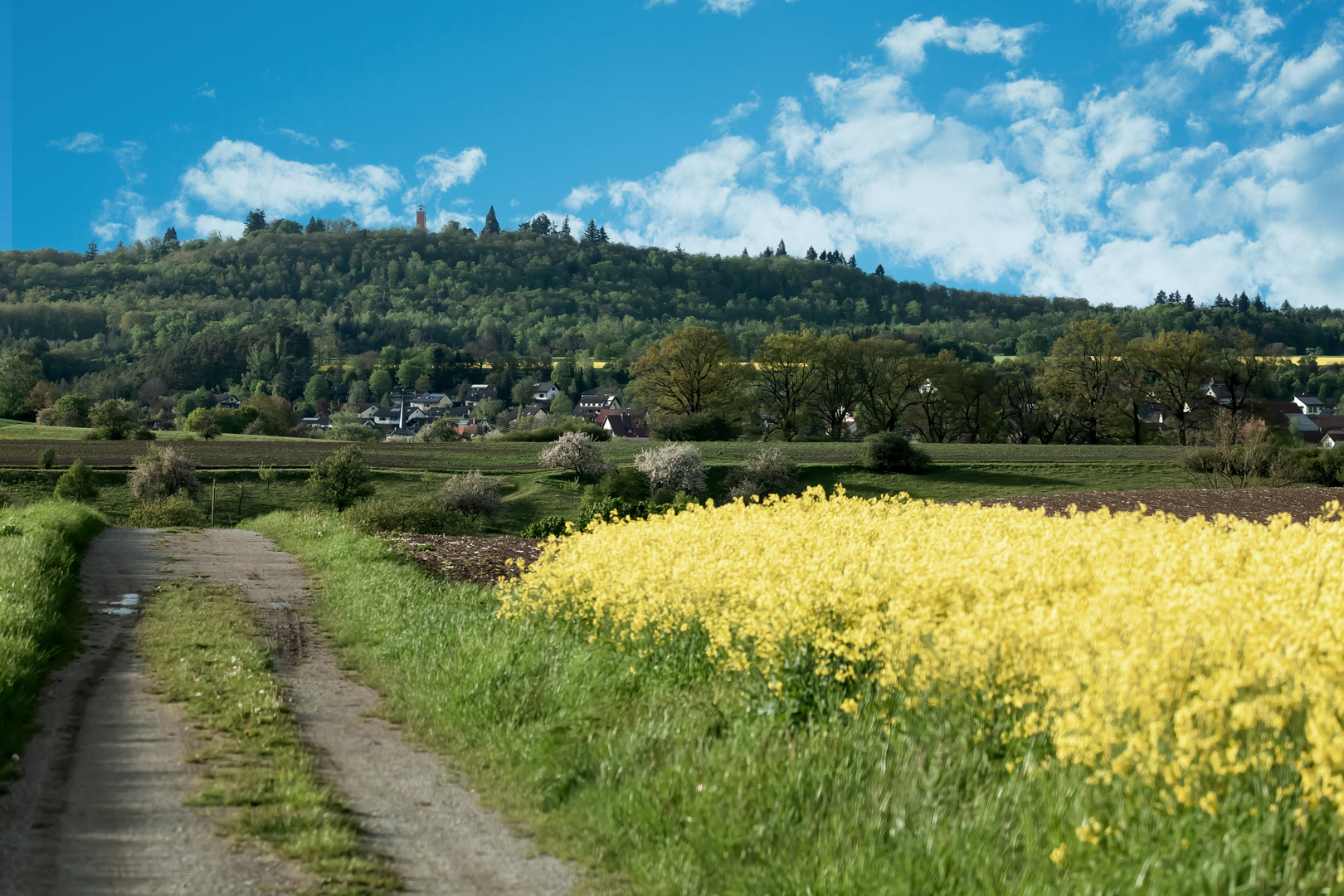 Weg von Gründelhardt nach Oberspeltach