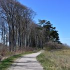 Weg von Warnemünde nach Wilhelmshöhe