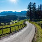 Weg von Zell zur Burgruine Eisenberg