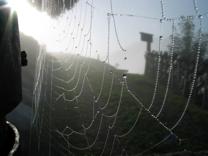 weg vor almhuette im morgenlicht und morgennebel