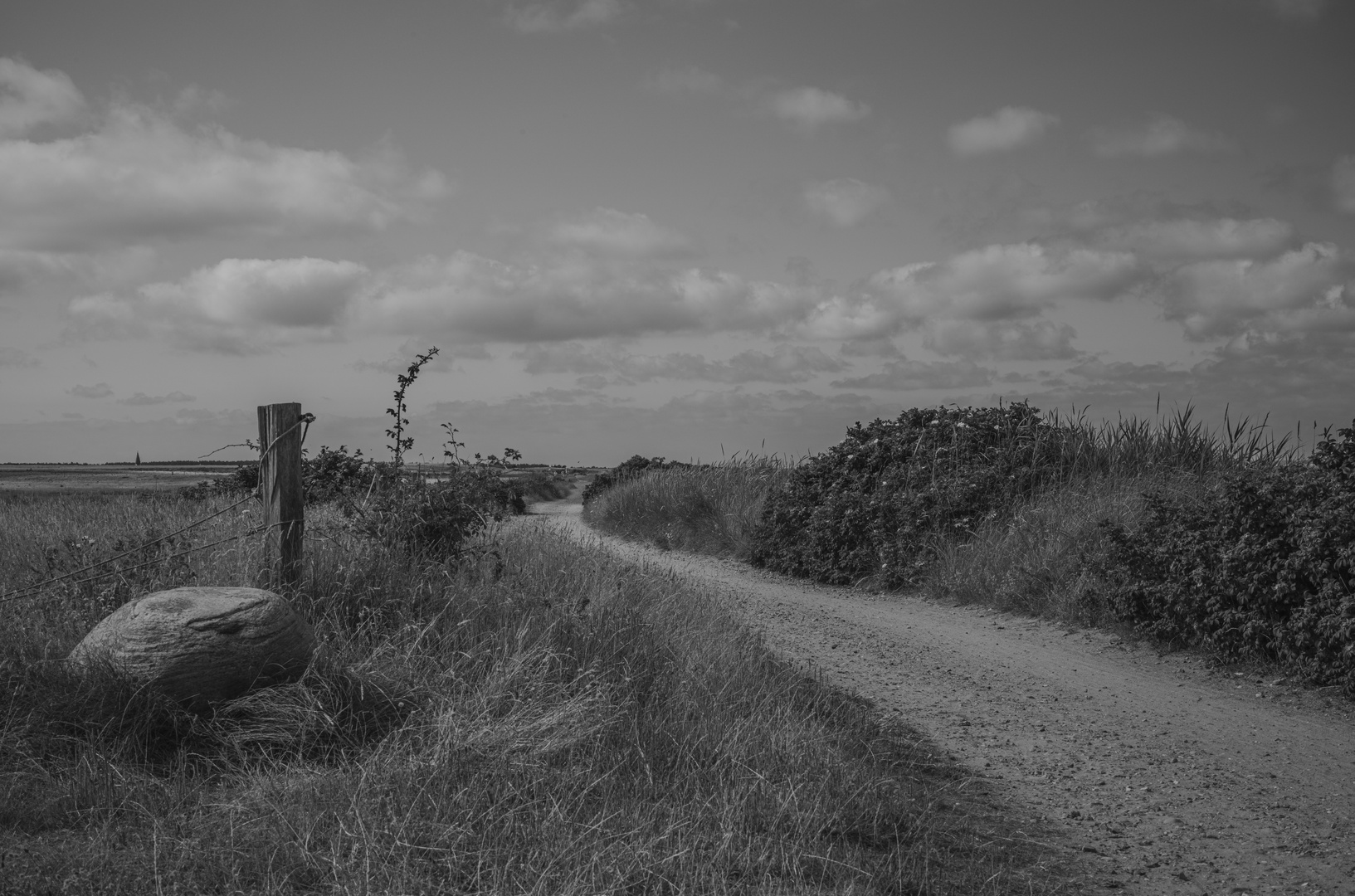 Weg Wattseite, Steenodde