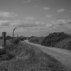 Weg Wattseite, Steenodde