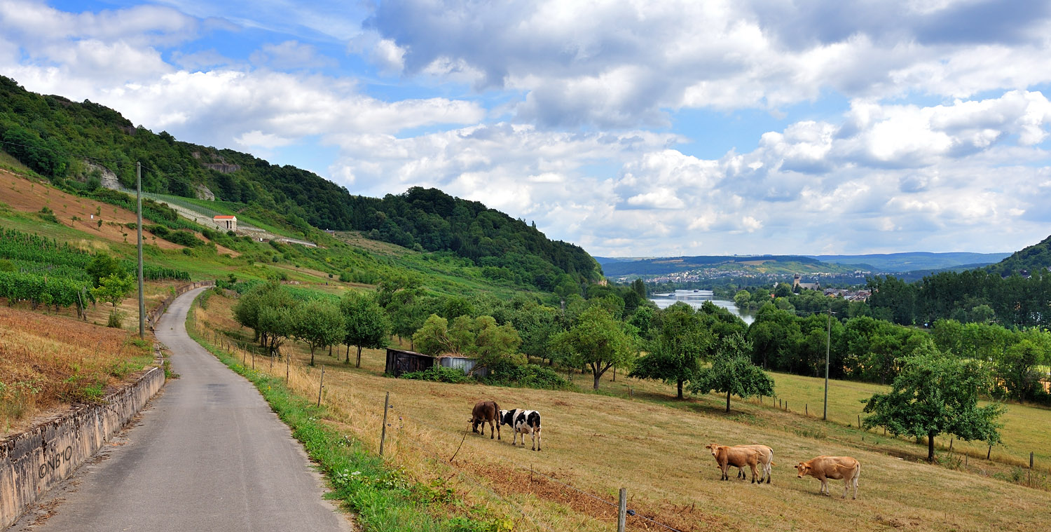 Weg, Wein und Wasser