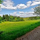 Weg, Wiese, Wald und Wolken