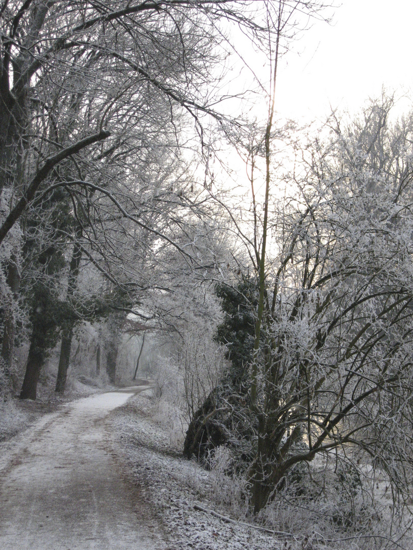 Weg zu den Seen