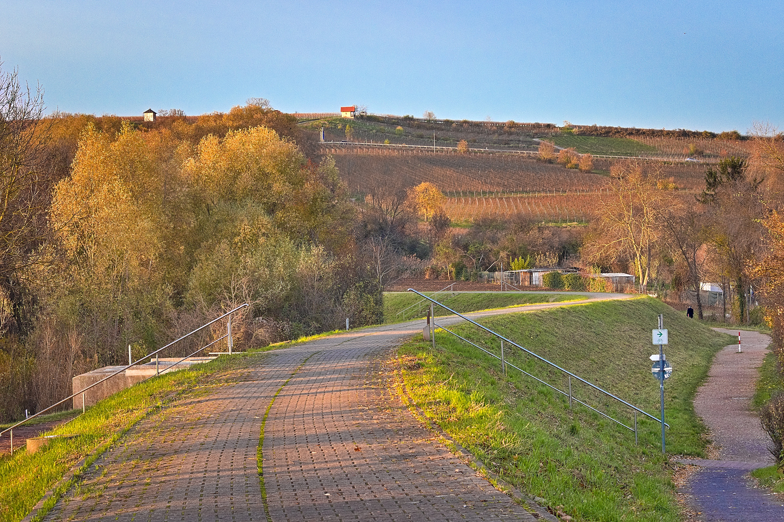 Weg zum Alzeyer Weiher und in die Weinberge