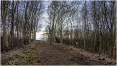 Weg zum Aussichtshügel