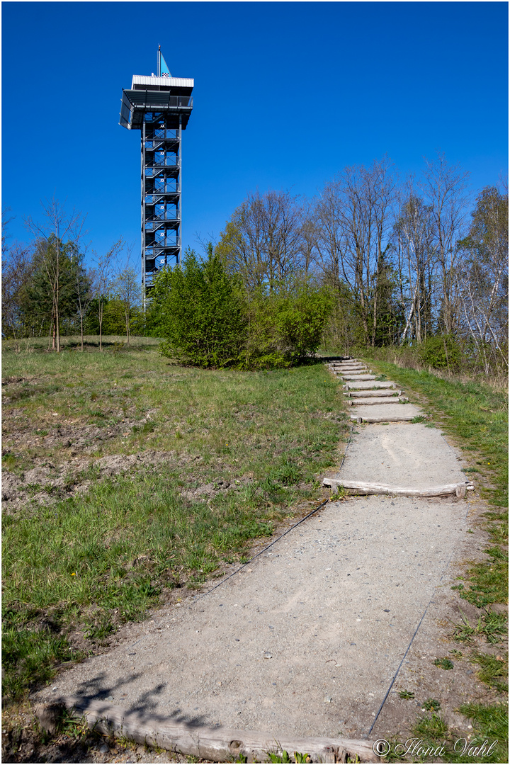 Weg zum Aussichtsturm