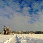 Weg zum Aussiedlerhof