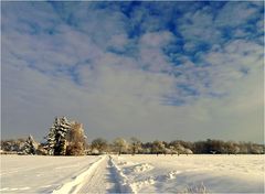 Weg zum Aussiedlerhof