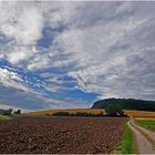 Weg zum Baumbusch