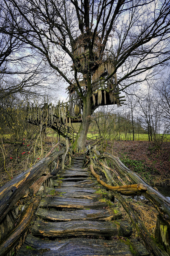 Weg zum Baumhaus