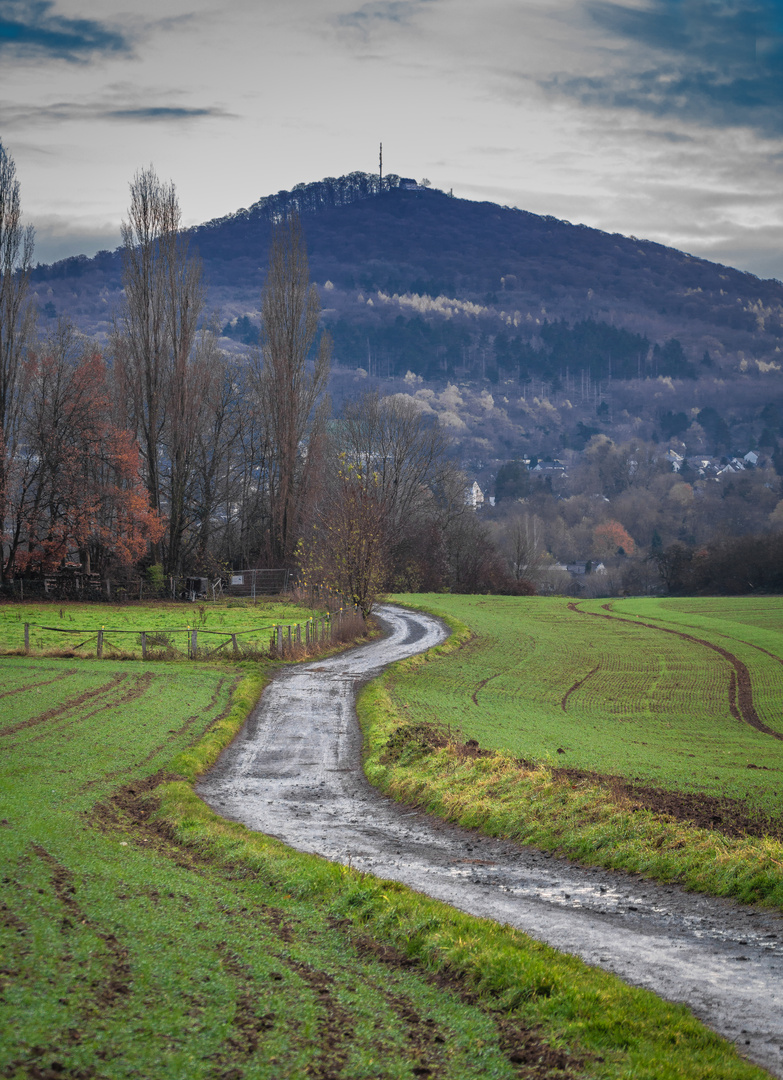 Weg zum Berg