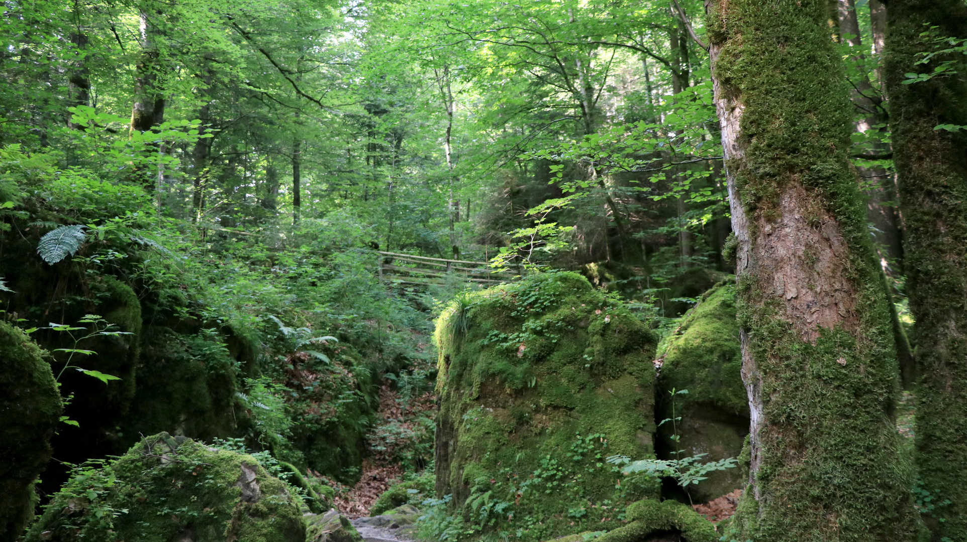 Weg zum Blausee II