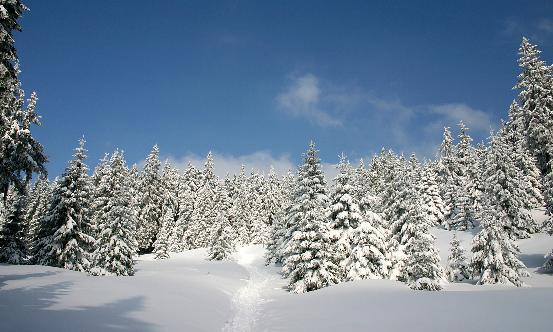 Weg zum Blocksberg