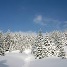 Weg zum Blocksberg