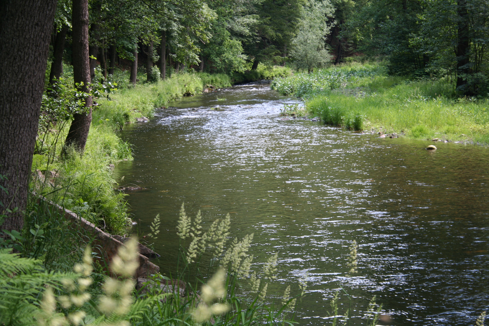 Weg zum Brethaus Lauter